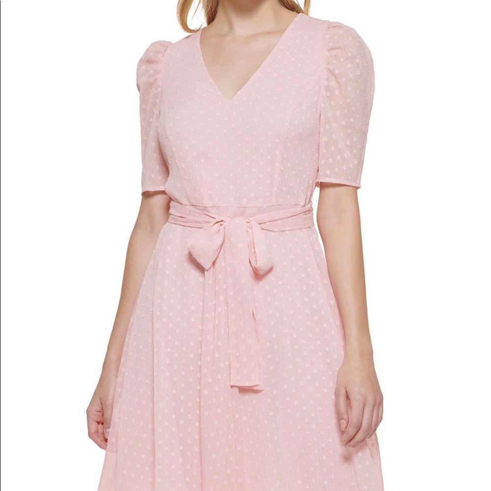 Swiss Dot Fit & Flare Dress - Picture 4 of 5